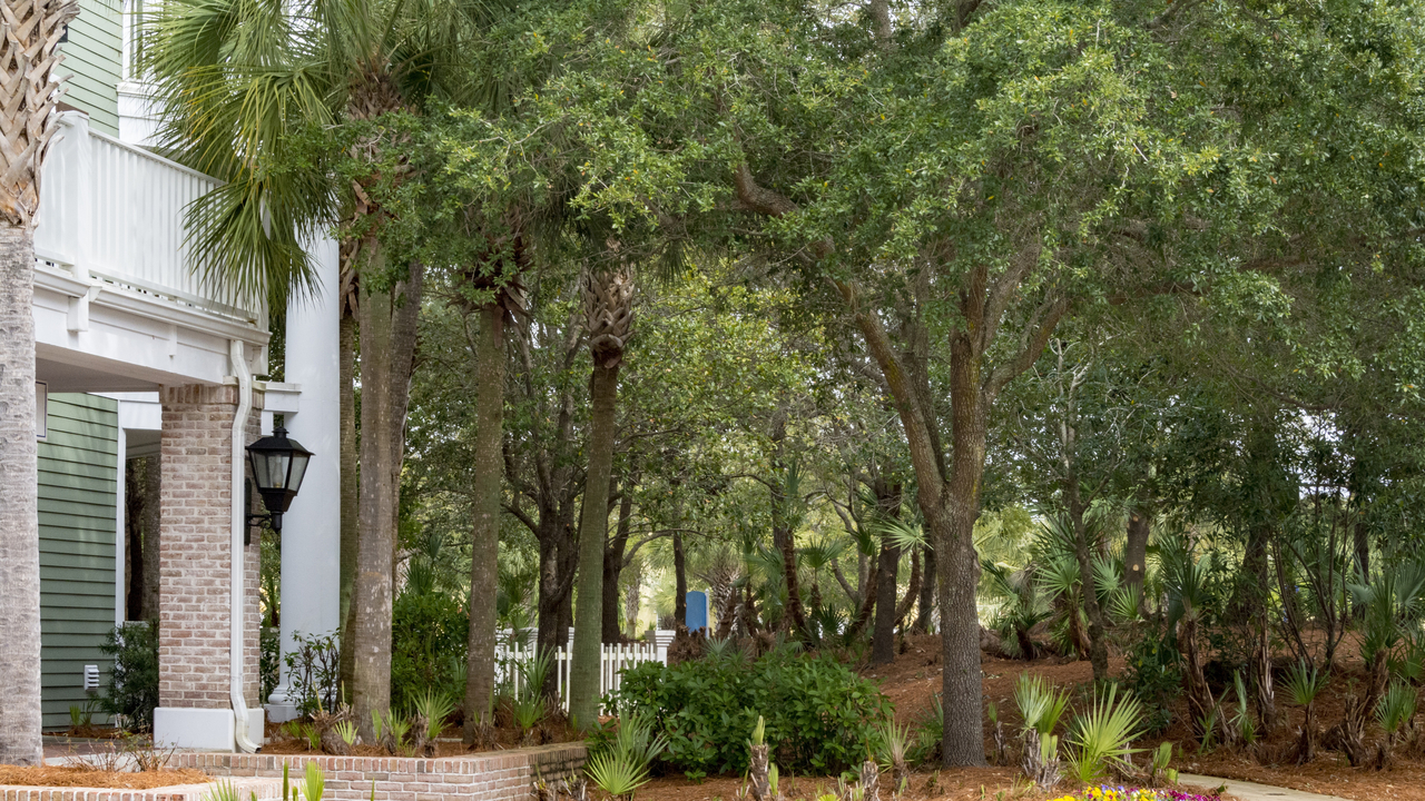 20160222-120703••Miramar Beach•Florida•USA